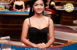 WM CASINO 3 firms live casino dream